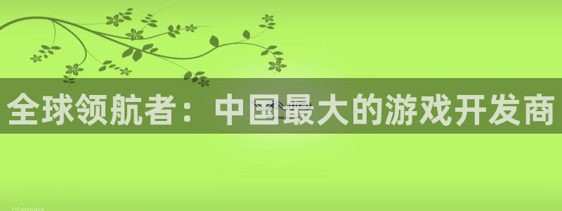 db电竞官网登录注册账号是什么：全球领航者：中国最大的游戏开发商