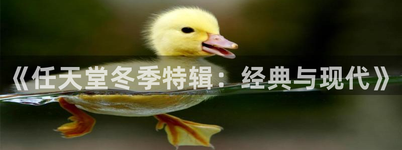 四川db电竞科技有限公司招聘：《任天堂冬季特辑：经典与现代》