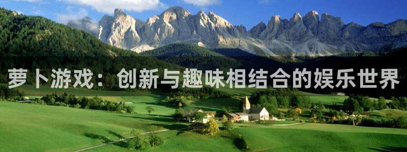 db电竞子怎么样：萝卜游戏：创新与趣味相结合的娱乐世界