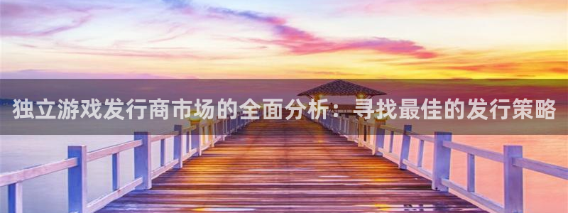 db电竞子的所有小说：独立游戏发行商市场的全面分析：寻找最佳的发行策略