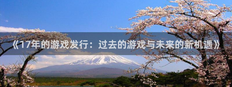 db电竞官网注册平台登录不了：《17年的游戏发行：过去的游戏与未来的新机遇》