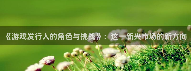 db电竞平台登录入口官网：《游戏发行人的角色与挑战》：这一新兴市场的新方向