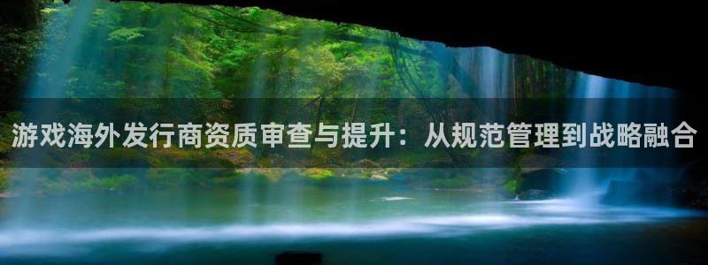 db电竞子文化创意做什么的：游戏海外发行商资质审查与提升：从规范管理到战略融合
