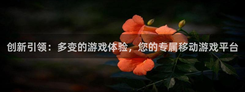 db电竞智邦