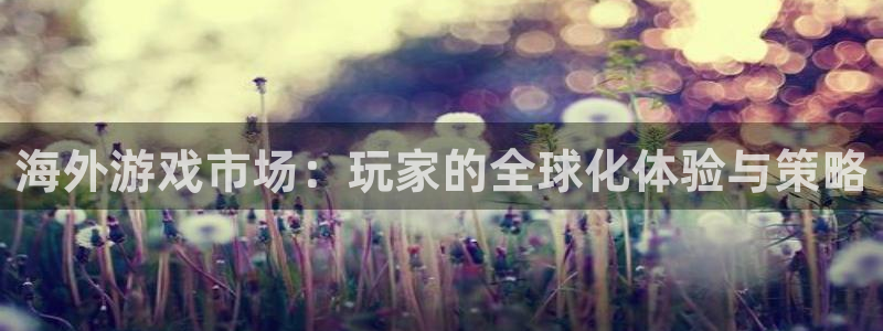 db电竞官网注册地址：海外游戏市场：玩家的全球化体验与策略