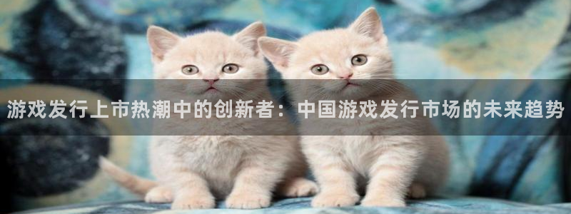 db电竞子财经图书：游戏发行上市热潮中的创新者：中国游戏发行市场的未来趋势