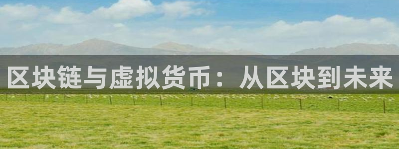 db电竞官网注册平台是什么软件：区块链与虚拟货币：从区块到未来