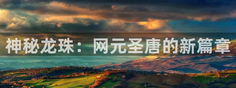 db电竞科技股票