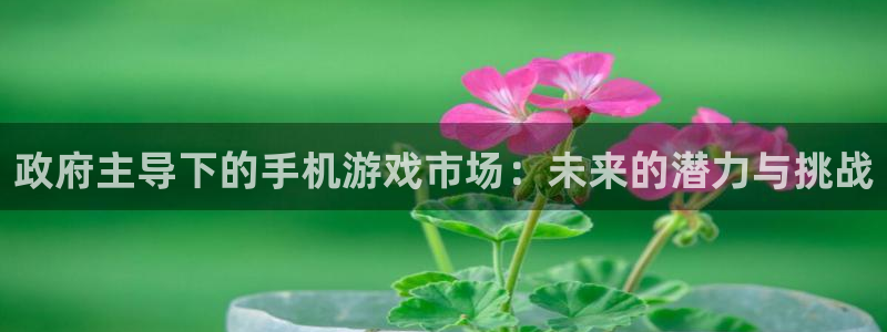 db电竞电子商务有限公司怎么样啊：政府主导下的手机游戏市场：未来的潜力与挑战