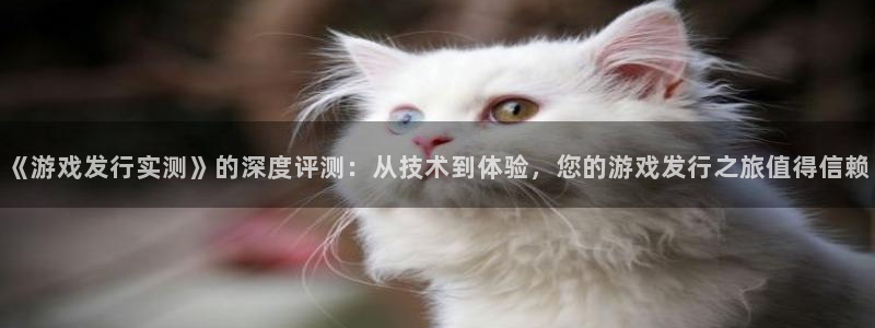 db电竞官网游戏怎么注册：《游戏发行实测》的深度评测：从技术到体验，您的游戏发行之旅值得信赖