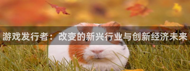 db电竞官网价 5O6917 db电竞：游戏发行者：改变的新兴行业与创新经济未来