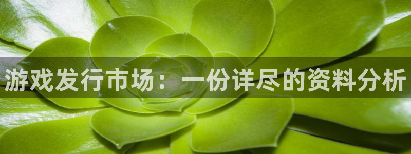 陕西省西安市db电竞子文化创意