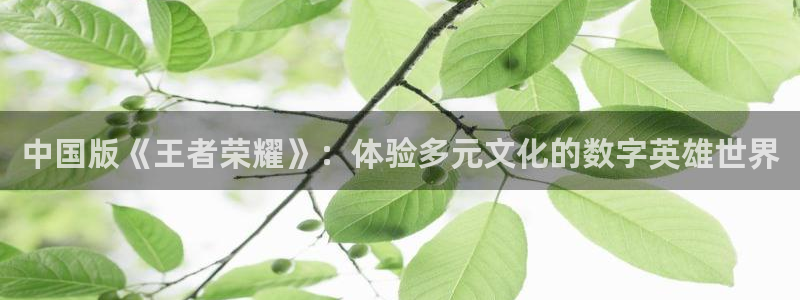 db电竞官网注册平台官网下载